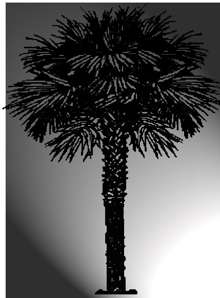 palmettotreelight.jpg
